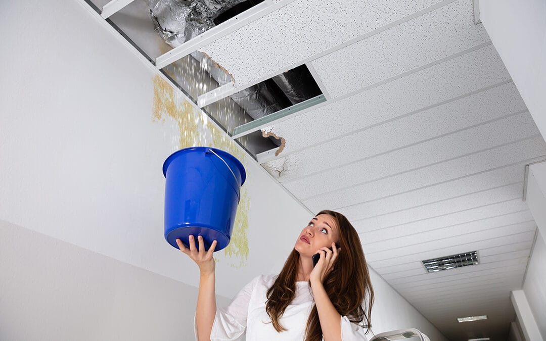 Sad Woman Calling Plumber While Holding Blue Bucket Under The Leak Ceiling In Corridor