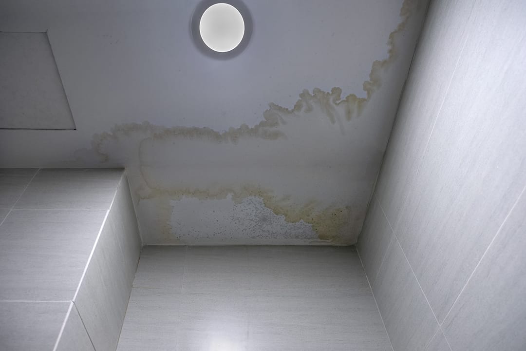 Leaking roof damaged ceiling.